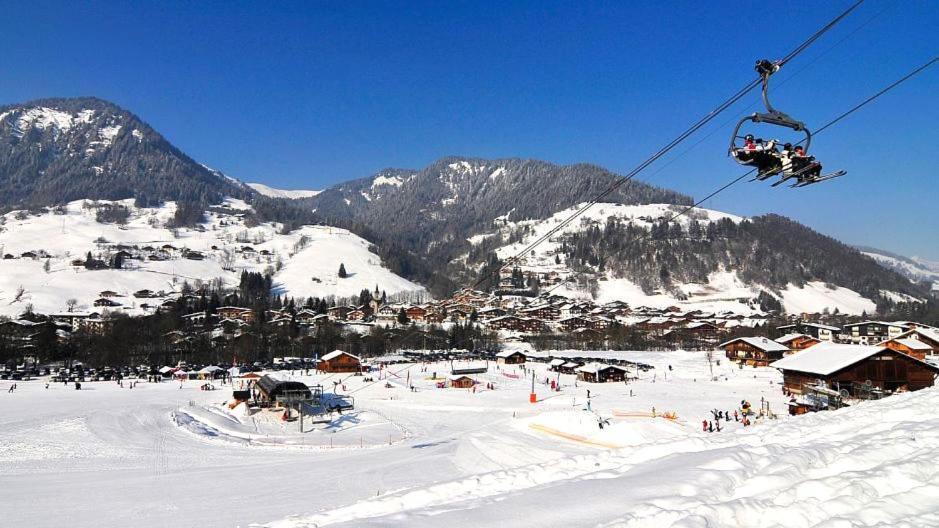 Appartement Fleur des Montagnes à Praz-sur-Arly Extérieur photo
